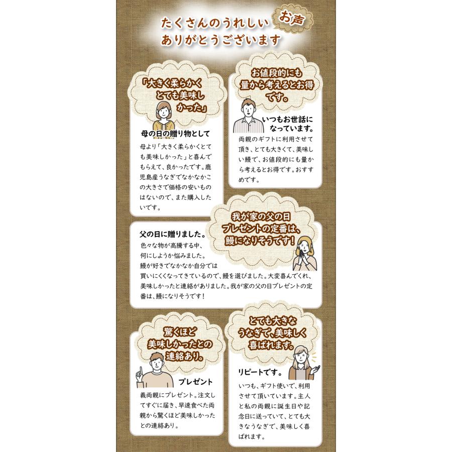 (ポイント3倍) うなぎ 国産 鰻 蒲焼き プレゼント ギフト お歳暮 2024 170g 2尾 鹿児島 大隅 冷凍 送料無料