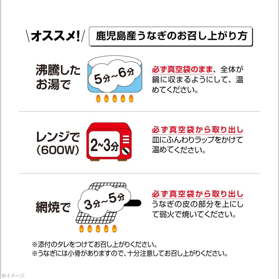 (ポイント3倍) うなぎ 国産 鰻 蒲焼き プレゼント ギフト お歳暮 2024 170g 2尾 鹿児島 大隅 冷凍 送料無料