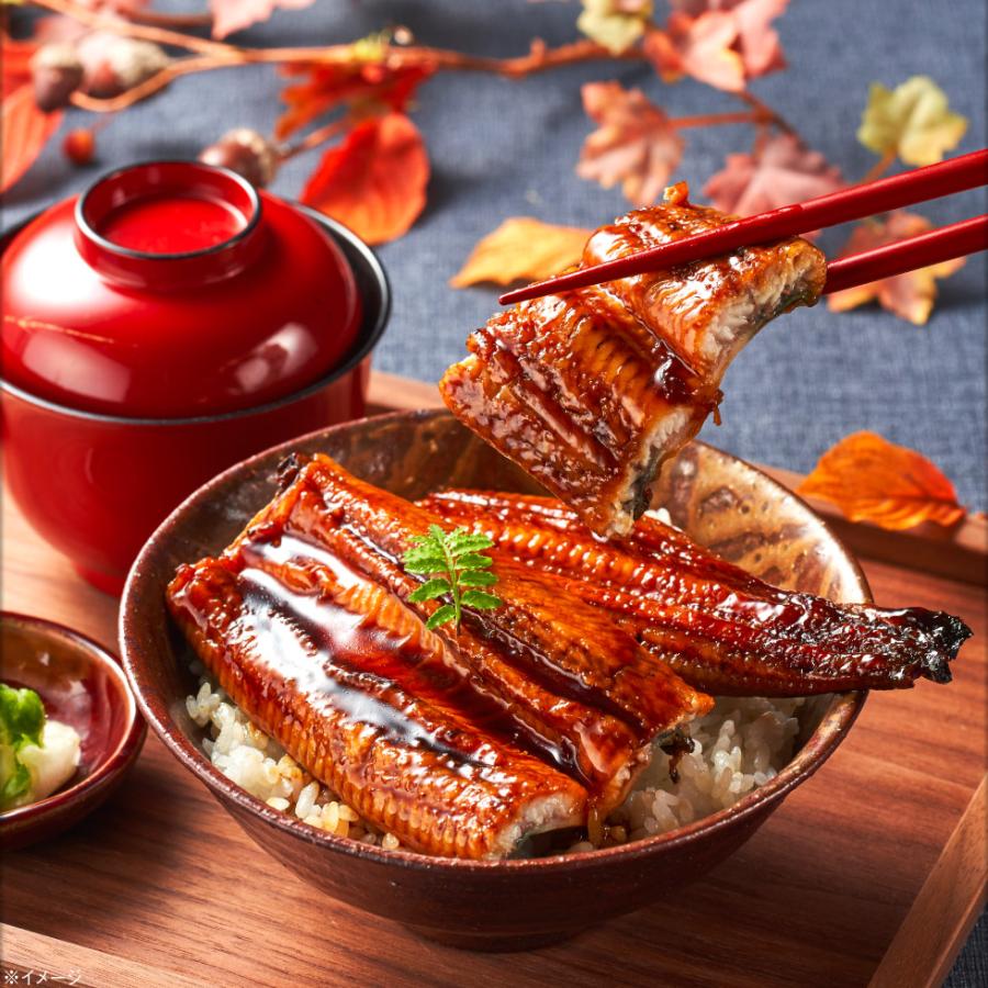 (ポイント3倍) うなぎ 国産 鰻 蒲焼き プレゼント ギフト お歳暮 2024 170g 2尾 鹿児島 大隅 冷凍 送料無料