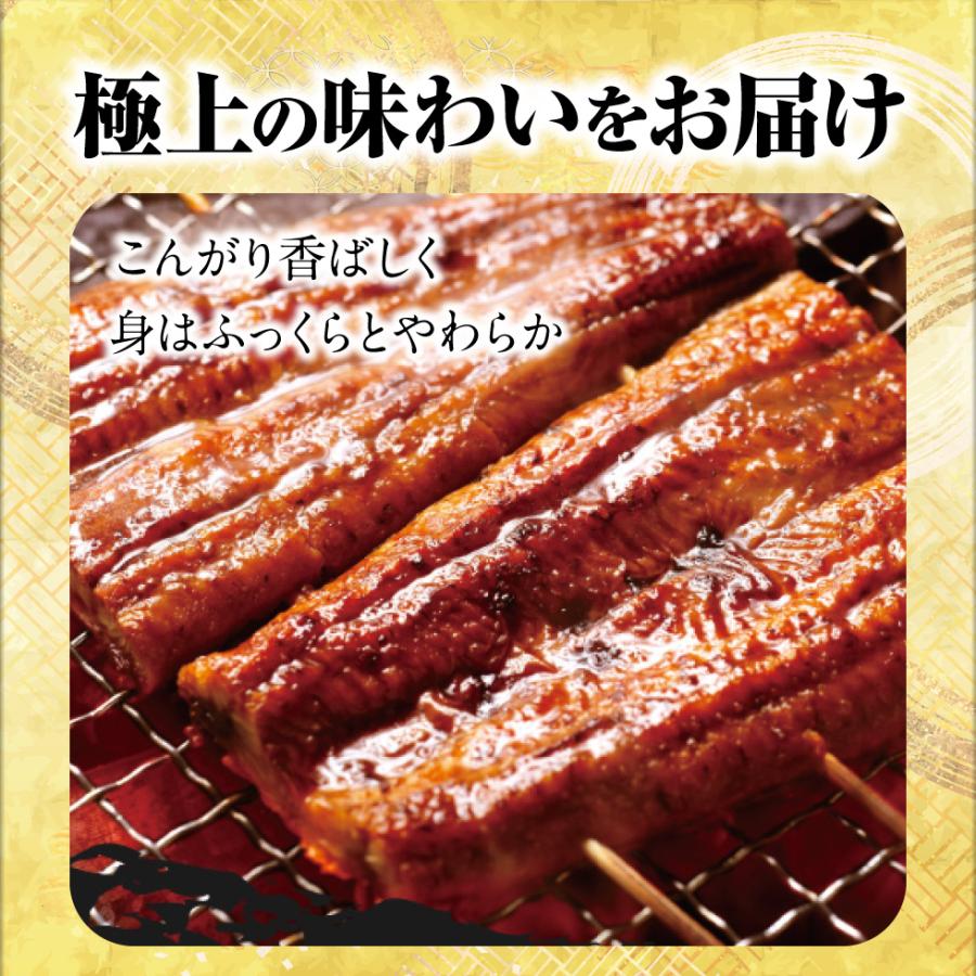 うなぎ 国産 ギフト 鰻 蒲焼き 170g 2尾 鹿児島 大隅産 バレンタイン プレゼント お取り寄せ 爆買 |  | 02