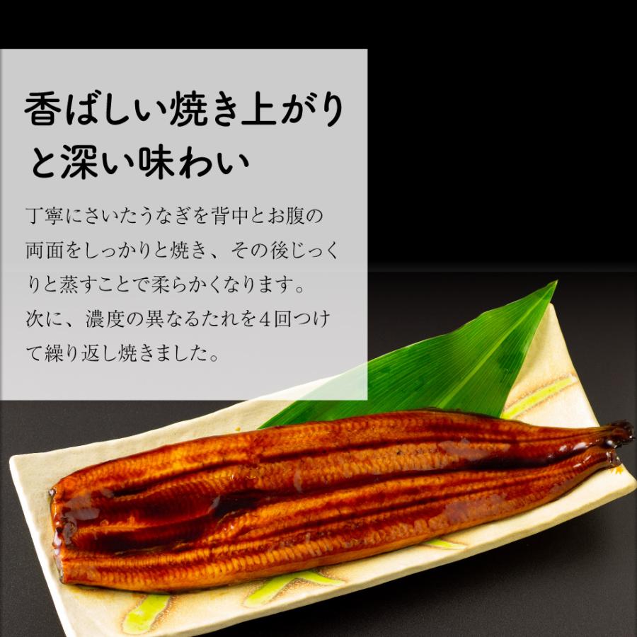 (ポイント3倍) うなぎ 国産 鰻 蒲焼き プレゼント ギフト お歳暮 2024 170g 2尾 鹿児島 大隅 冷凍 送料無料