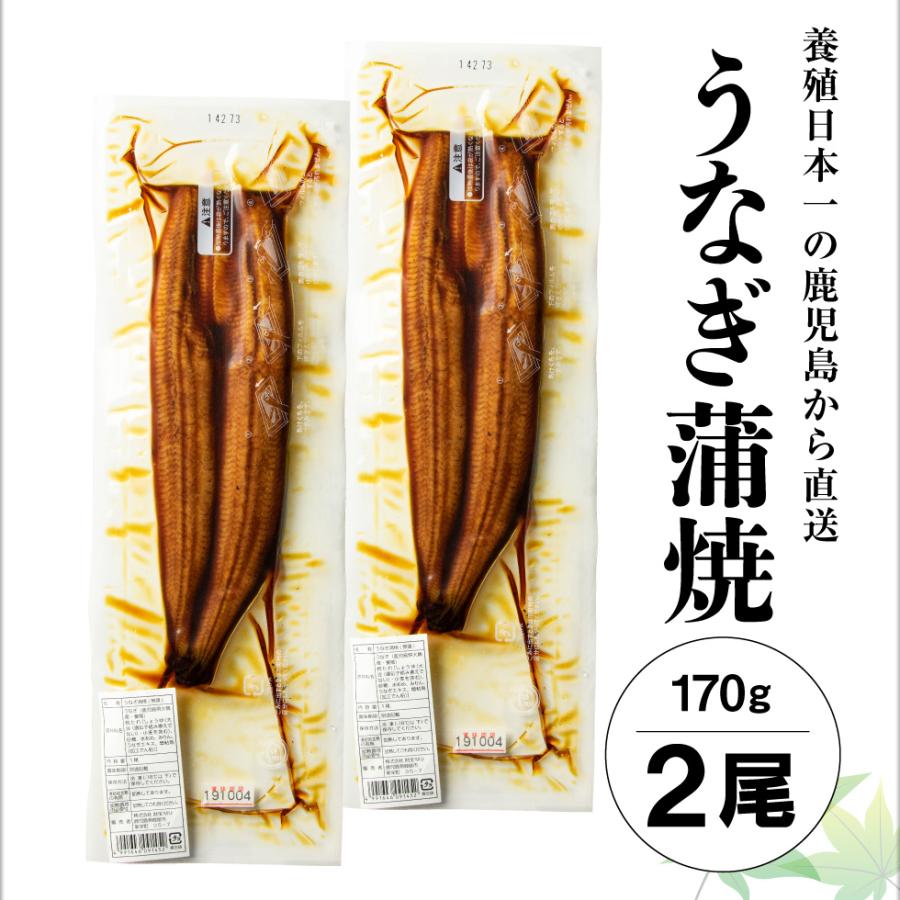 (ポイント3倍) うなぎ 国産 鰻 蒲焼き プレゼント ギフト お歳暮 2024 170g 2尾 鹿児島 大隅 冷凍 送料無料