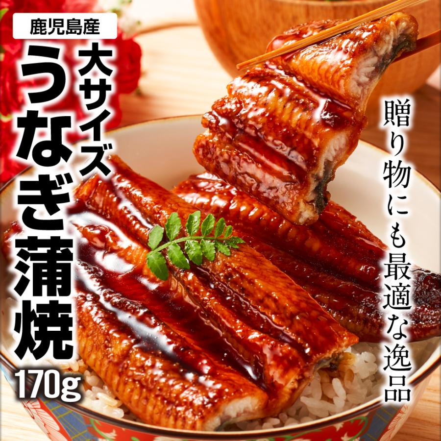 (ポイント2倍) うなぎ 国産 ギフト 鰻 蒲焼き 170g 4尾 鹿児島 大隅産 バレンタイン プレゼント お取り寄せ 爆買 |  | 01