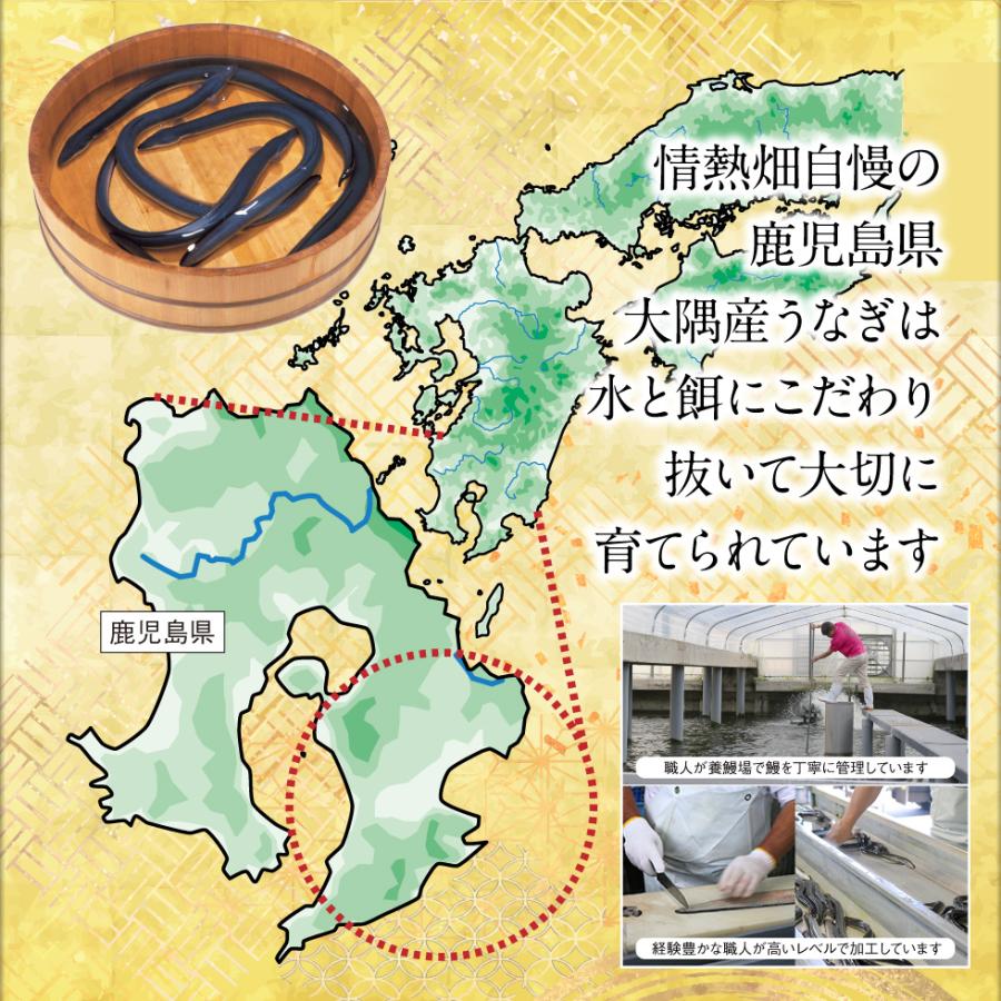 (ポイント2倍) うなぎ 国産 ギフト 鰻 蒲焼き 170g 4尾 鹿児島 大隅産 バレンタイン プレゼント お取り寄せ 爆買 |  | 03