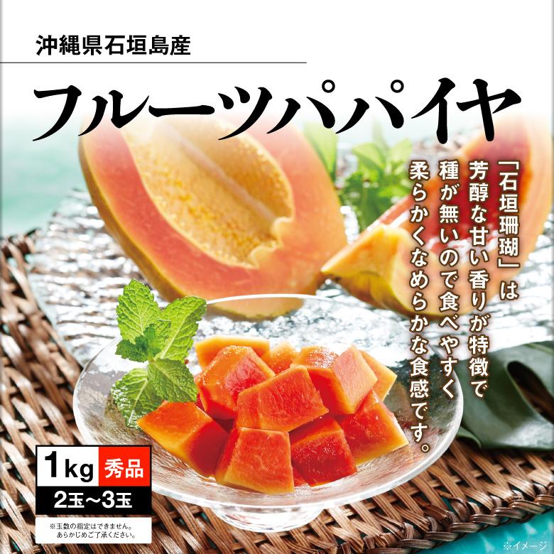 石垣珊瑚フルーツパパイヤ6玉入り 送料無料！石垣島フルーツパパイヤ 石垣珊瑚2kg（2～6個）販売