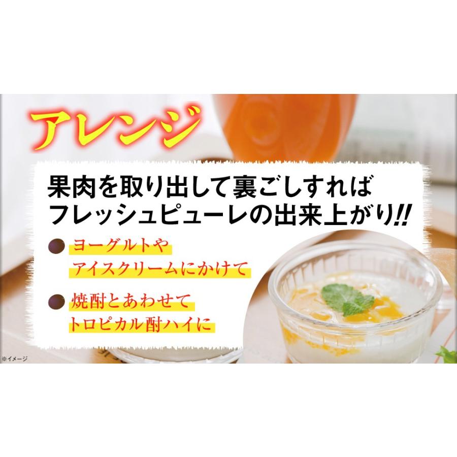 無添加・果汁100%のストレートジュース】シトラスフルーツ