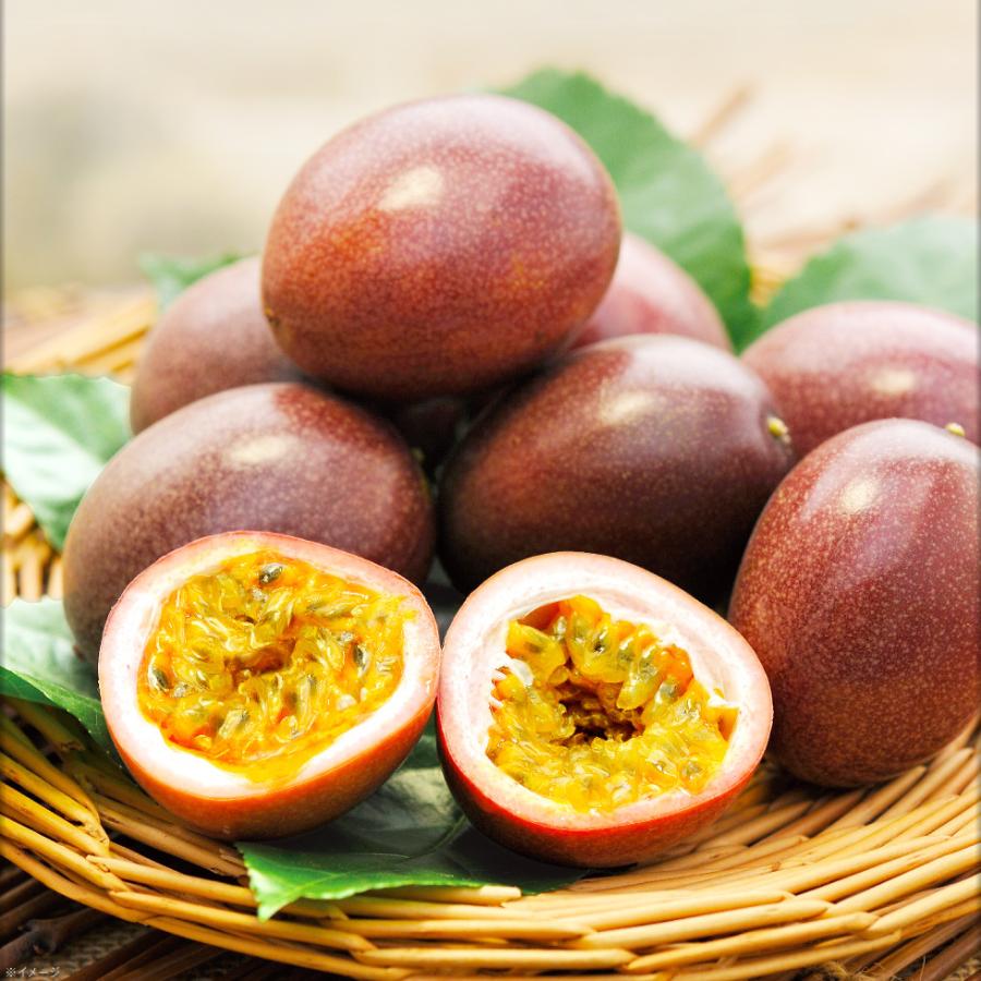 パッションフルーツ 沖縄産 家庭用 900g 9〜12玉 JAおきなわ ギフト