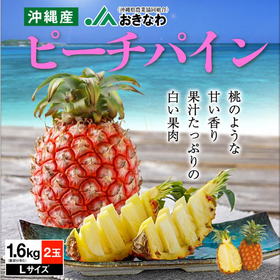 ピーチパイン JAおきなわ 沖縄産 Lサイズ 2玉 小ぶり パイナップル 