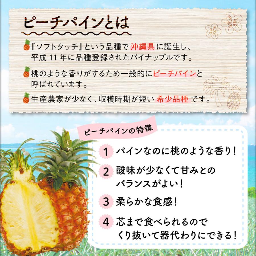 パイナップル ピーチパイン JAおきなわ 沖縄産 Lサイズ 2玉 小ぶり