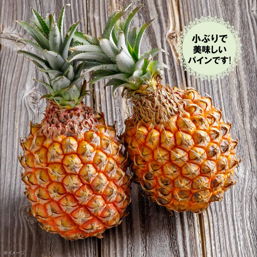 パイナップル スナックパイン JAおきなわ 沖縄産 石垣島 Lサイズ 2玉