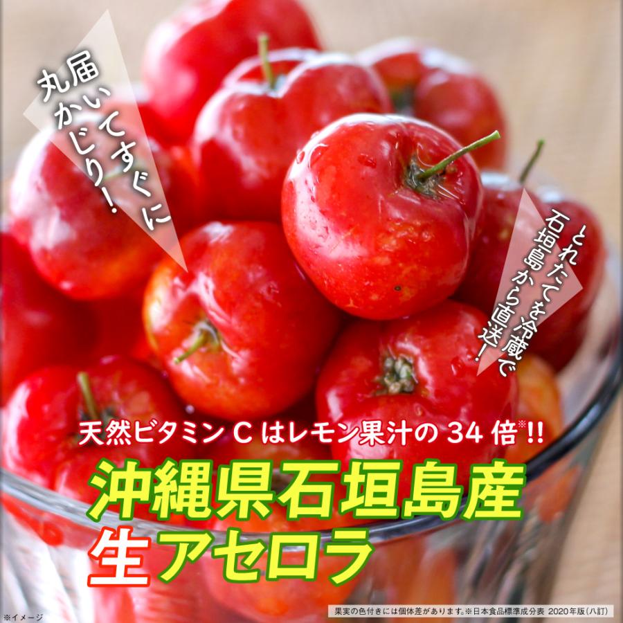 生アセロラ 国産 アセロラ 家庭用 果実 1kg 沖縄県 石垣島産 冷蔵便