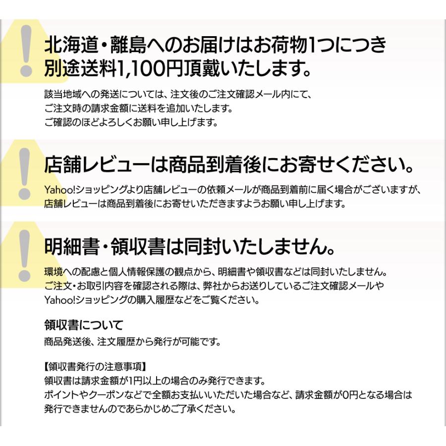 生アセロラ 国産 アセロラ 家庭用 果実 500g 沖縄県 石垣島産 冷蔵便