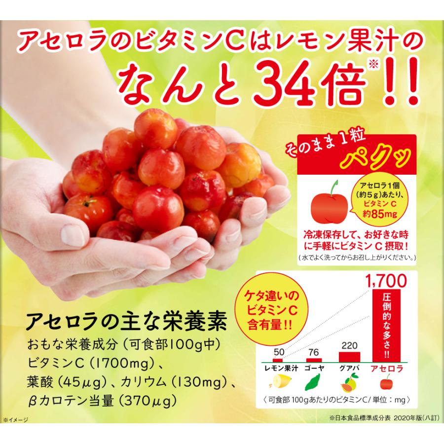 ポイント2倍) 生アセロラ 国産 アセロラ 家庭用 果実 500g 沖縄県 石垣