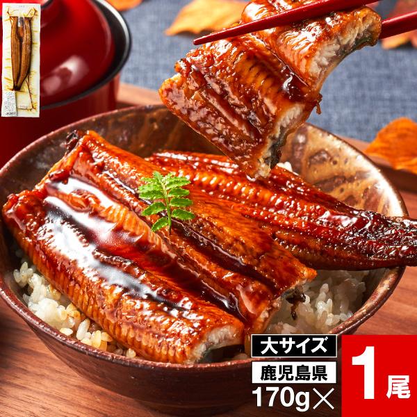 ポイント2倍 うなぎ お中元 最短当日出荷 国産 鹿児島 産 大サイズ 170g 1尾 蒲焼き 冷凍 ギフト お取り寄せ お中元 情熱畑 Paypayモール店 通販 Paypayモール