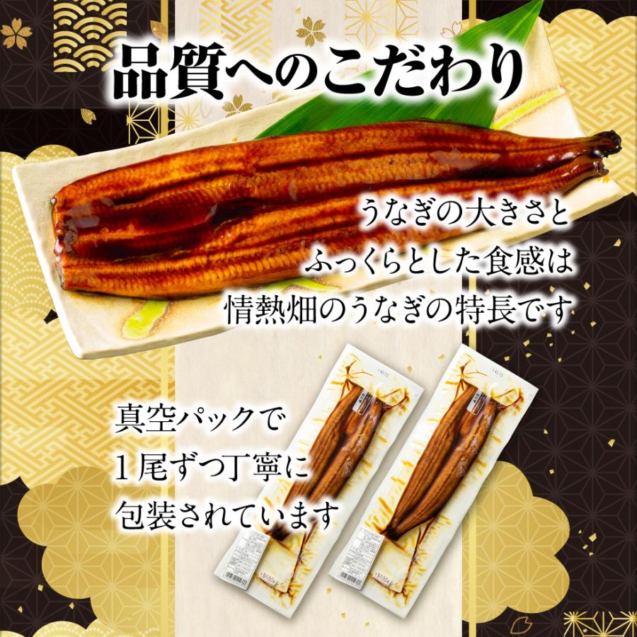 (ポイント2倍) うなぎ 国産 ギフト 鰻 蒲焼き 170g 1尾 鹿児島 大隅産 バレンタイン プレゼント お取り寄せ 爆買 |  | 05