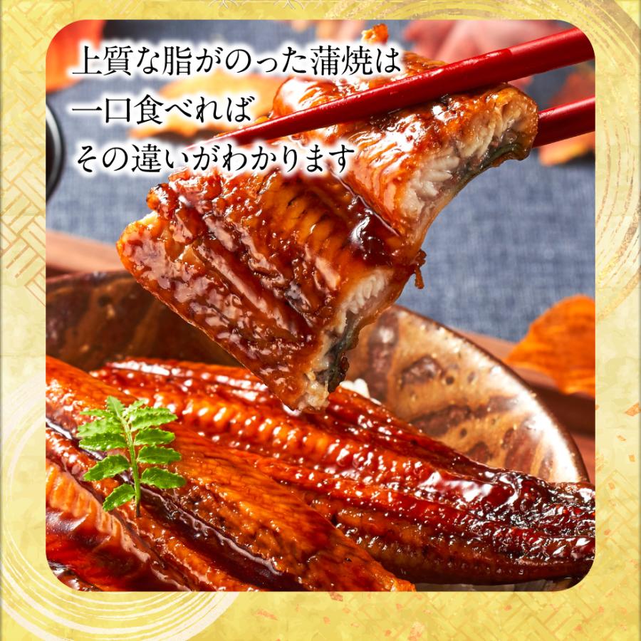 (ポイント2倍) うなぎ 国産 ギフト 鰻 蒲焼き 170g 3尾 鹿児島 大隅産 バレンタイン プレゼント お取り寄せ 爆買 |  | 04