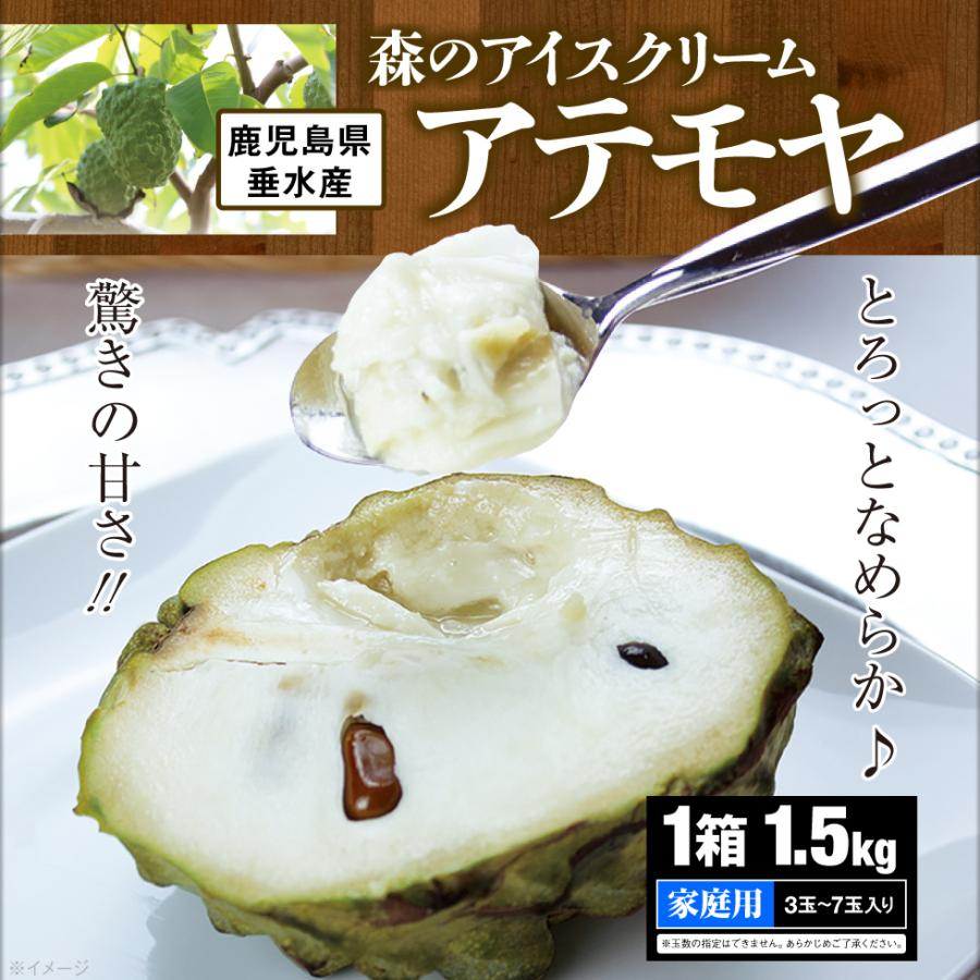 訳あり 家庭用 アテモヤ 別名 森のアイスクリーム 鹿児島 垂水産 3〜7