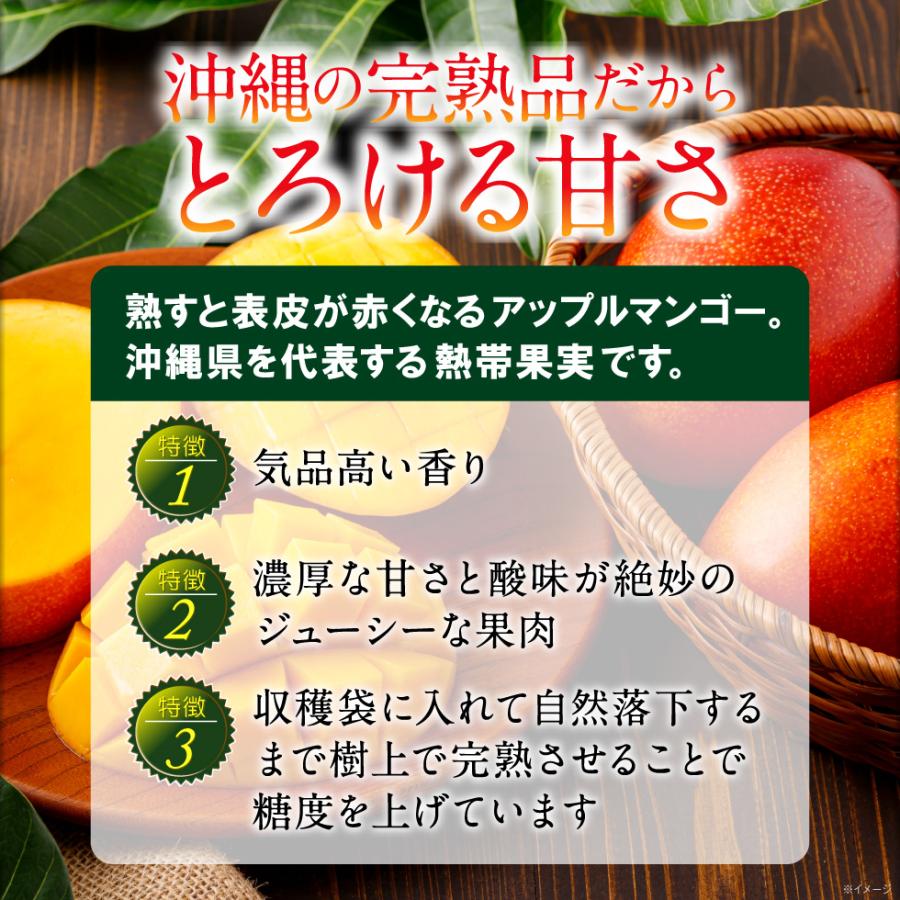 マンゴー 沖縄 秀品 JAおきなわ ギフト 完熟マンゴー 2kg (1箱2