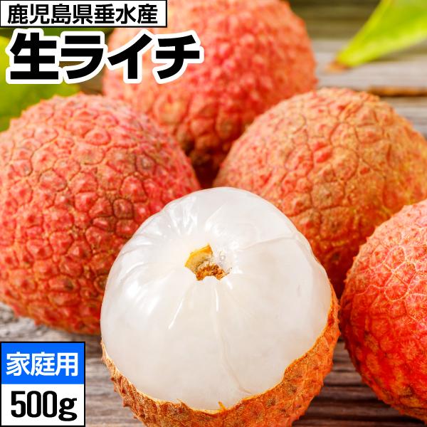 生ライチ 国産 ライチ 生 訳あり 家庭用 500g 鹿児島県産 詰め合わせ