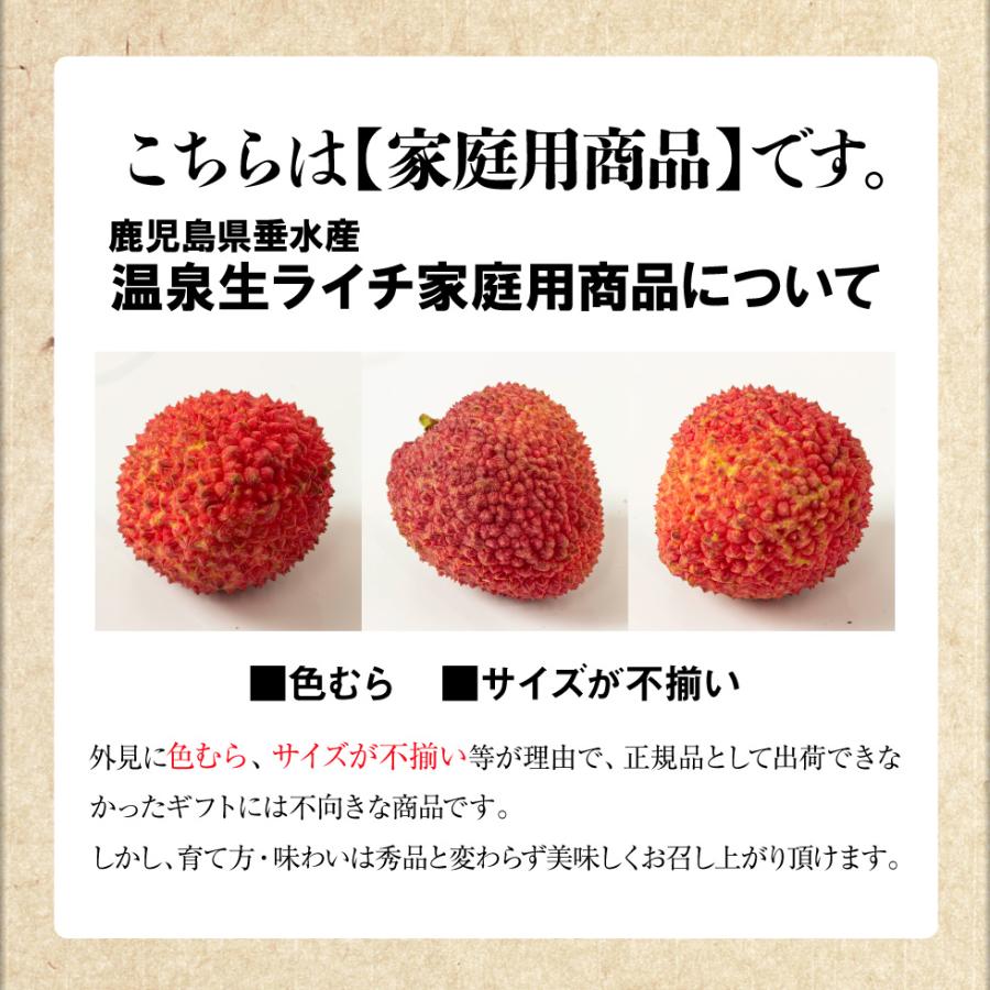 石垣島産 生ライチ 2kg クール便 石垣島産 生ライチ 2kg クール便 果物