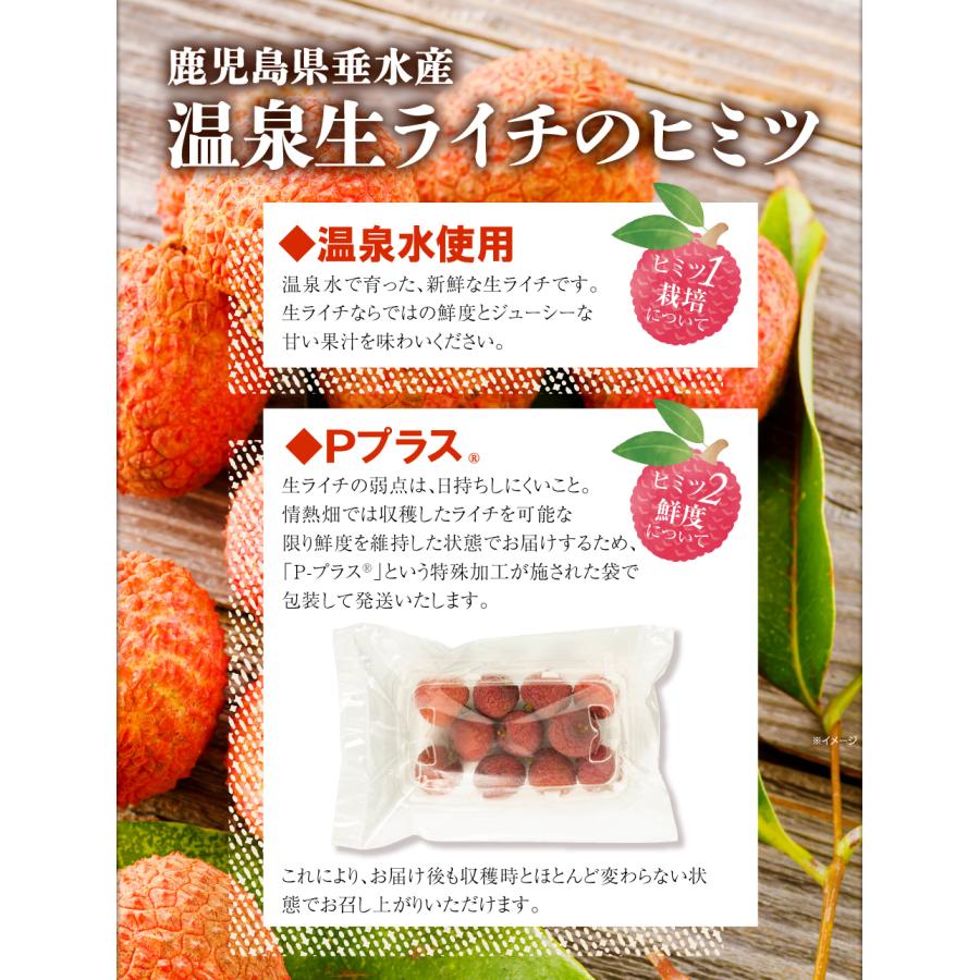 生ライチ 国産 ライチ 生 訳あり 家庭用 500g 鹿児島県産 詰め合わせ