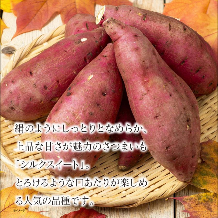 シルクスイート さつまいも 鹿児島 産地 直送 生芋 2L 6kg 送料無料