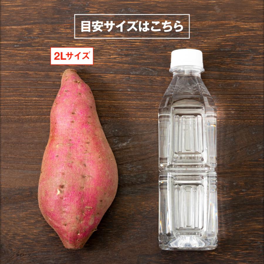サツマイモ　　　２Ｌ以上　1ｋ袋×6 シルクスイート さつまいも 鹿児島 産地 直送 生芋 2L 6kg 送料無料