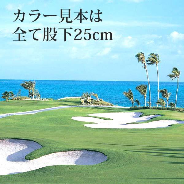 ゴルフパンツ メンズ ハーフパンツ 夏用 ゴルフウエア メンズ パンツ ゴルフウェア メンズ パンツ 軽量 ショートパンツストレッチパンツ 速乾 ドライ スポーツ |  | 13