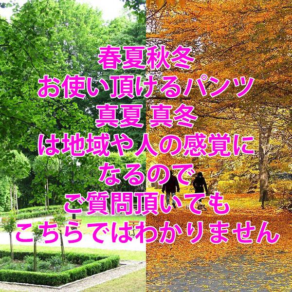 チノパン メンズ ストレッチ ストレート 裾上げ済み 選べる股下 67 70 73 76cm シニア メンズ ズボン ゆったり チノパンツ YKK 春夏 秋冬 | ブランド登録なし | 12