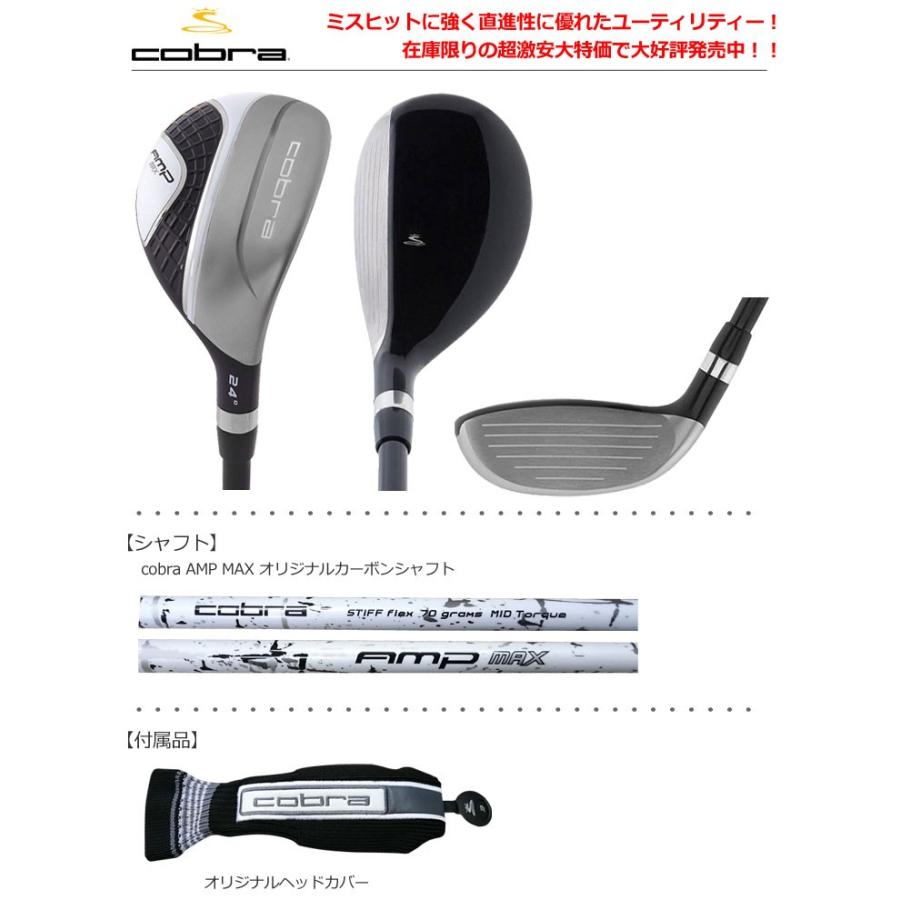 cobra amp max