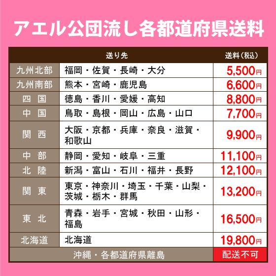 公団流し台 75cm SK型 SK-750F アエル流し台製作所 : 住設倶楽部 