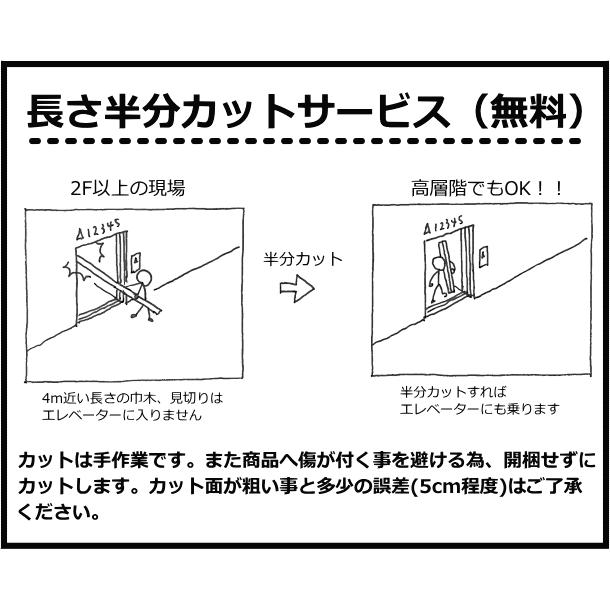 スマート幅木 不陸調整用 3950mm 12本入 QPE113A12□ 巾木 Panasonic 