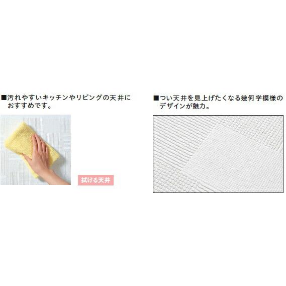 マリーナ12 天井材 お手入れらくらく拭ける天井材 18枚 3.3平米入 TA7101 TA7102 ダイケン 大建工業 : DIYをサポート ...