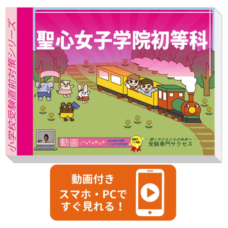 NN 女子学院 直前期 教材セット(4科目) NN 女子学院 直前期 教材セット(4科目) 【公式通販】