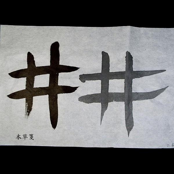寿香堂 漢字用 手漉き画仙紙『本草箋』半切判（35×136cm） 20枚入り