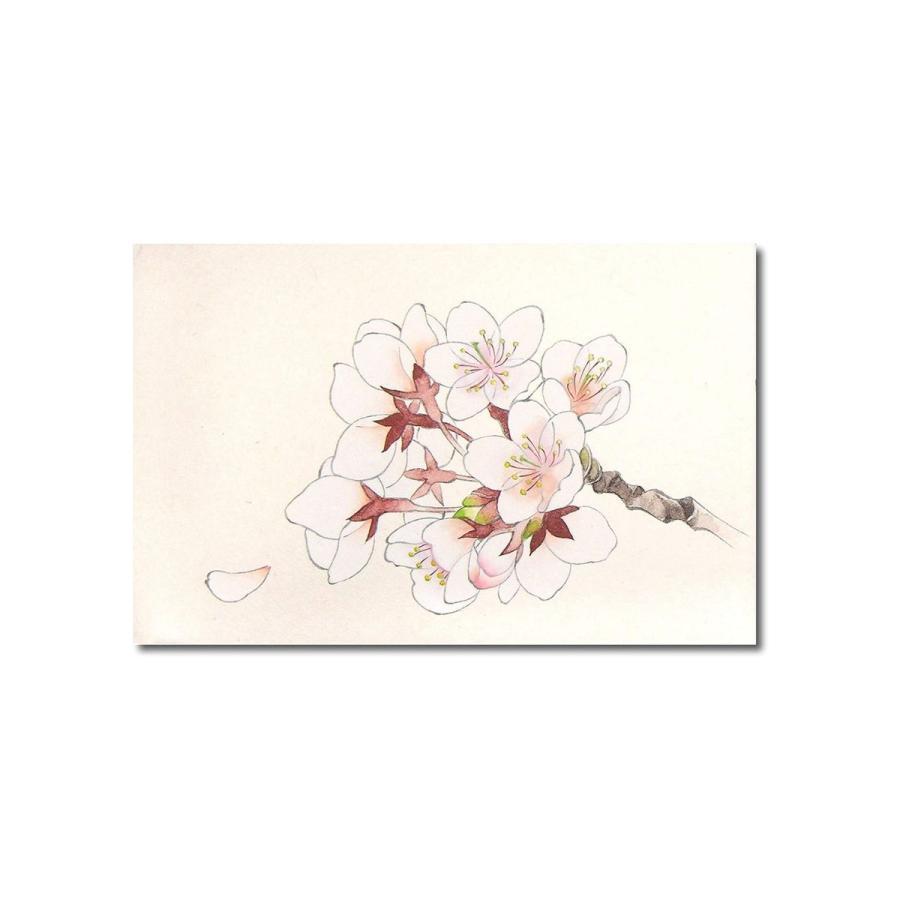吉祥 顔彩 12色セット 上製｜日本画 絵手紙 年賀状 墨彩画 水彩画