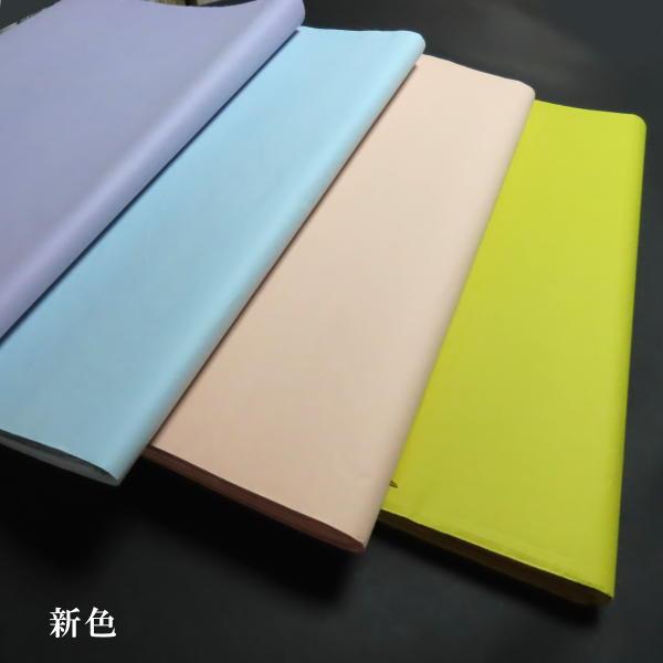 在庫限り】色染画仙紙 尺八屏判(53×234cm) 5枚入｜書道 書道用紙