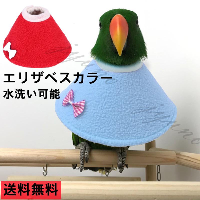鳥 インコ エリザベス エリザベスカラー 鳥用 首輪 オウム レッド ブルー鳥用品 送料無料1 Ft031 ジュノストア 通販 Yahoo ショッピング