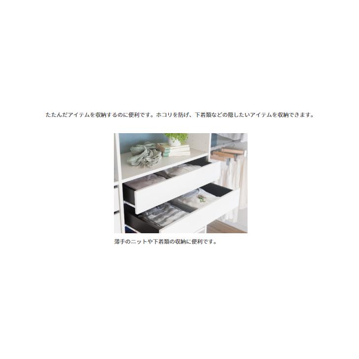 ③南海プライウッド　ノエル3 フレーム引出し 2段 N3F2-D4W08-AJ ウォールゼットノエル3 フレーム引出し 2段 南海プライウッド