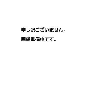 M04G9KCT273