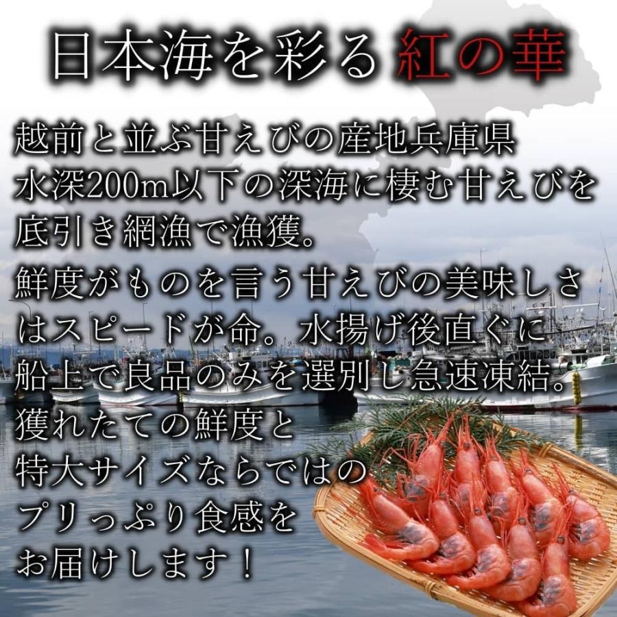 日本海産お刺身用 甘えび 850g前後約45尾入 甘エビ 大満足の特大サイズ