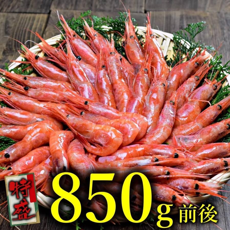 日本海産お刺身用 甘えび 850g前後約45尾入 甘エビ 大満足の特大サイズ