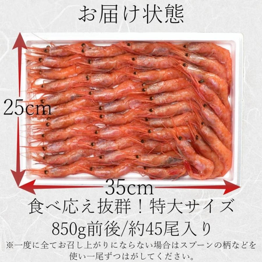 日本海産お刺身用 甘えび 850g前後約45尾入 甘エビ 大満足の特大サイズ