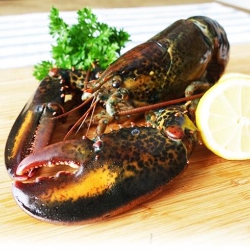 十文字屋商店 Yahoo 店オマール海老のフルコース オマール海老 400 450g 1尾 究極のおうちグルメ 500g オマール海老のスープ オマール海老味噌 0g