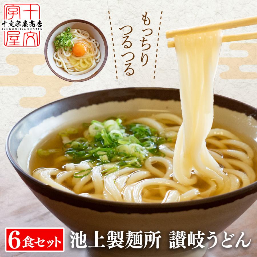 本場香川の 讃岐うどん だし醤油付き 6人前 300g×2袋 6食セット 釜玉