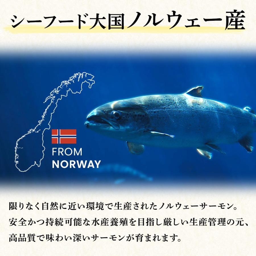 選べる 訳あり生食用 サーモン500g すき身 ネギトロ 切落し 中落ち 炙り ハラス 端材 刺身 冷凍 切り落とし 端っこ 鮭 徳用 手巻き寿司 サンドイッチ パスタ｜jyuumonjiya｜07