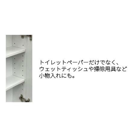 トイレ収納 壁埋め込み・直付け兼用タイプ【TB012706】 : 住材