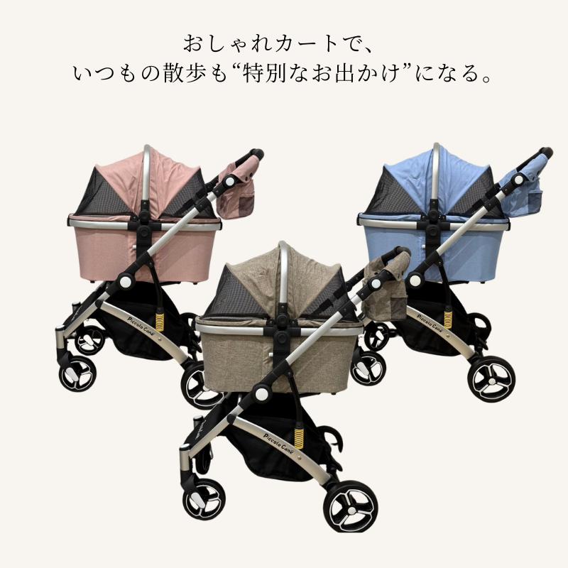 ポイントアップ中☆【新商品】CARINOα カリーノアルファ ピッコロ