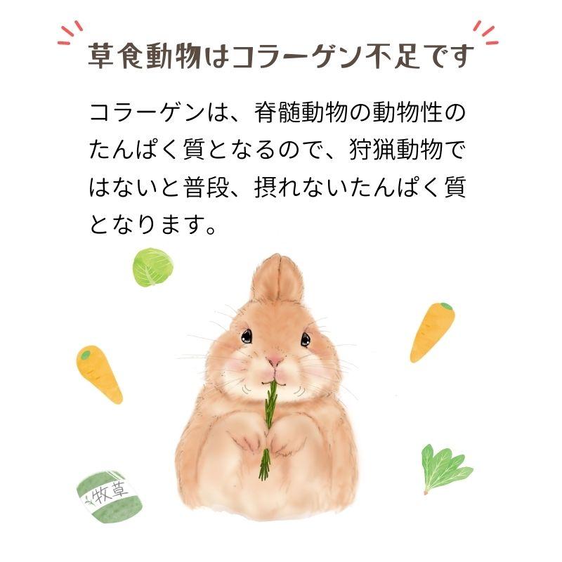 うさぎの関節に コラーゲンV.C＆グルコサミンMSM 商品 ペット用 栄養補助食品　60粒  ウサギ用 |  | 01