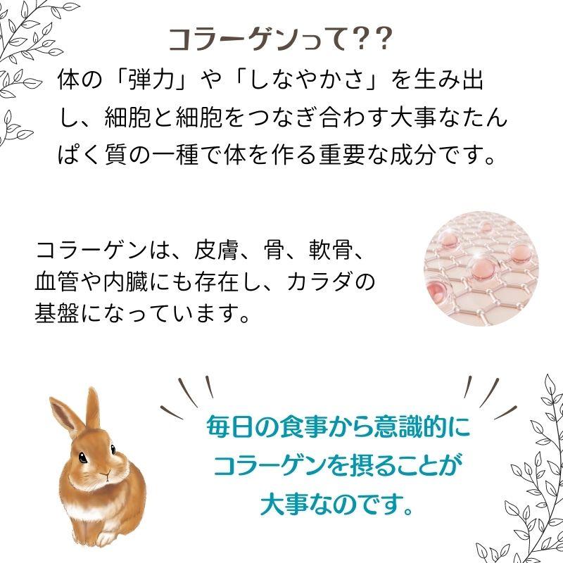 うさぎの関節に コラーゲンV.C＆グルコサミンMSM 商品 ペット用 栄養補助食品　60粒  ウサギ用 |  | 02